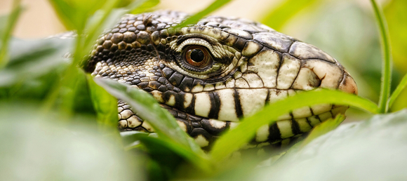 Pet Store Boardman, OH Harbor Pet Center